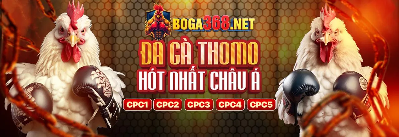 Các chương trình khuyến mãi độc quyền tại a99 nhà cái